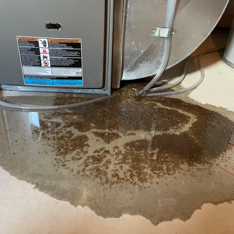 Appliance Leak Cleanup in Hanamaulu, HI