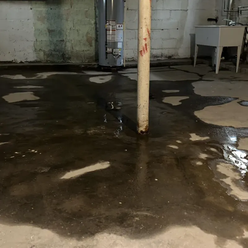 Emergency Water Extraction And Removal in Hanamaulu, HI